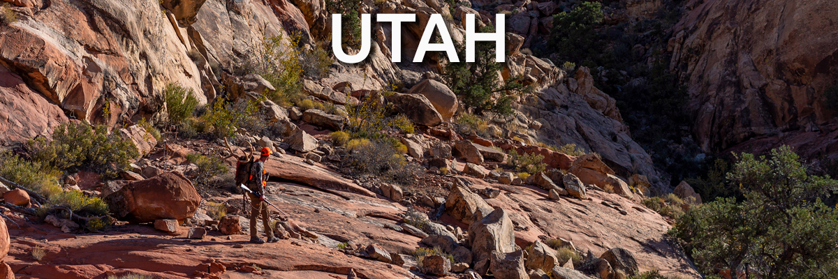 Southern Utah Big Game Hunting Guides - Deep Creek Outfitters