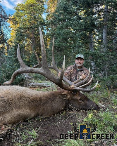 Panguitch Muzzleloader Bull