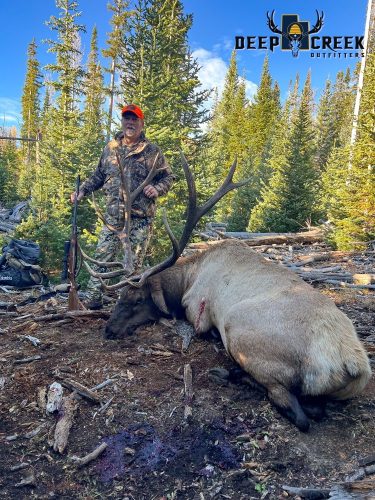 Mid Rifle Bull