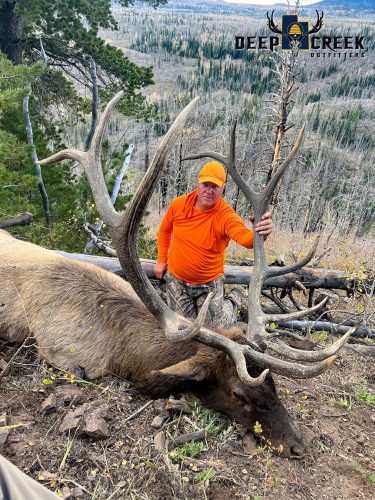 Mid Rifle Bull