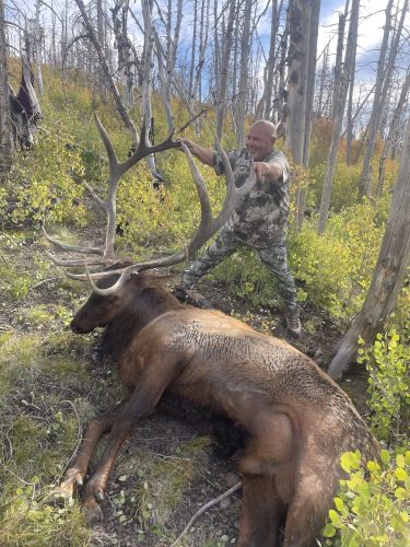 Panguitch Early Rifle Bull